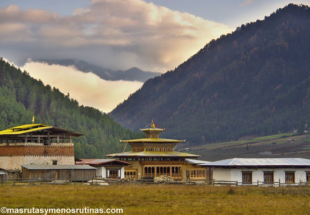 Por los monasterios y bosques de BUTAN - Blogs de Bhutan - El valle de Phobjikha: las grullas cuellinegras son las dueñas (9)