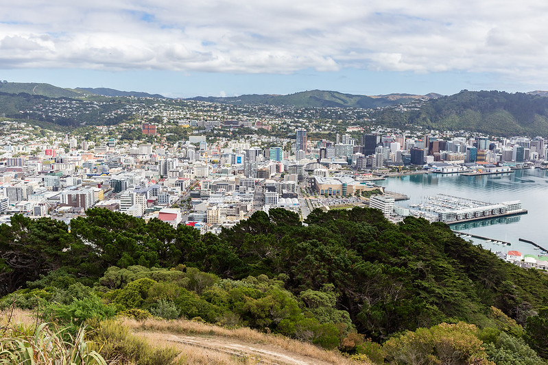 Downtown Wellington From Mount Victoria