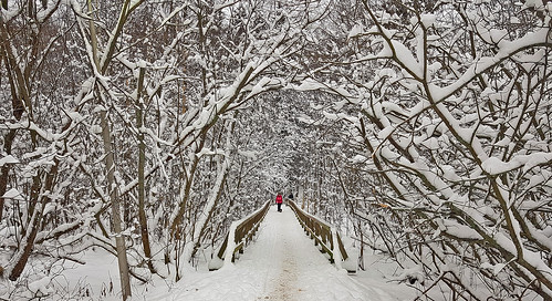 winter finland winterwonderland winterfairytale nature