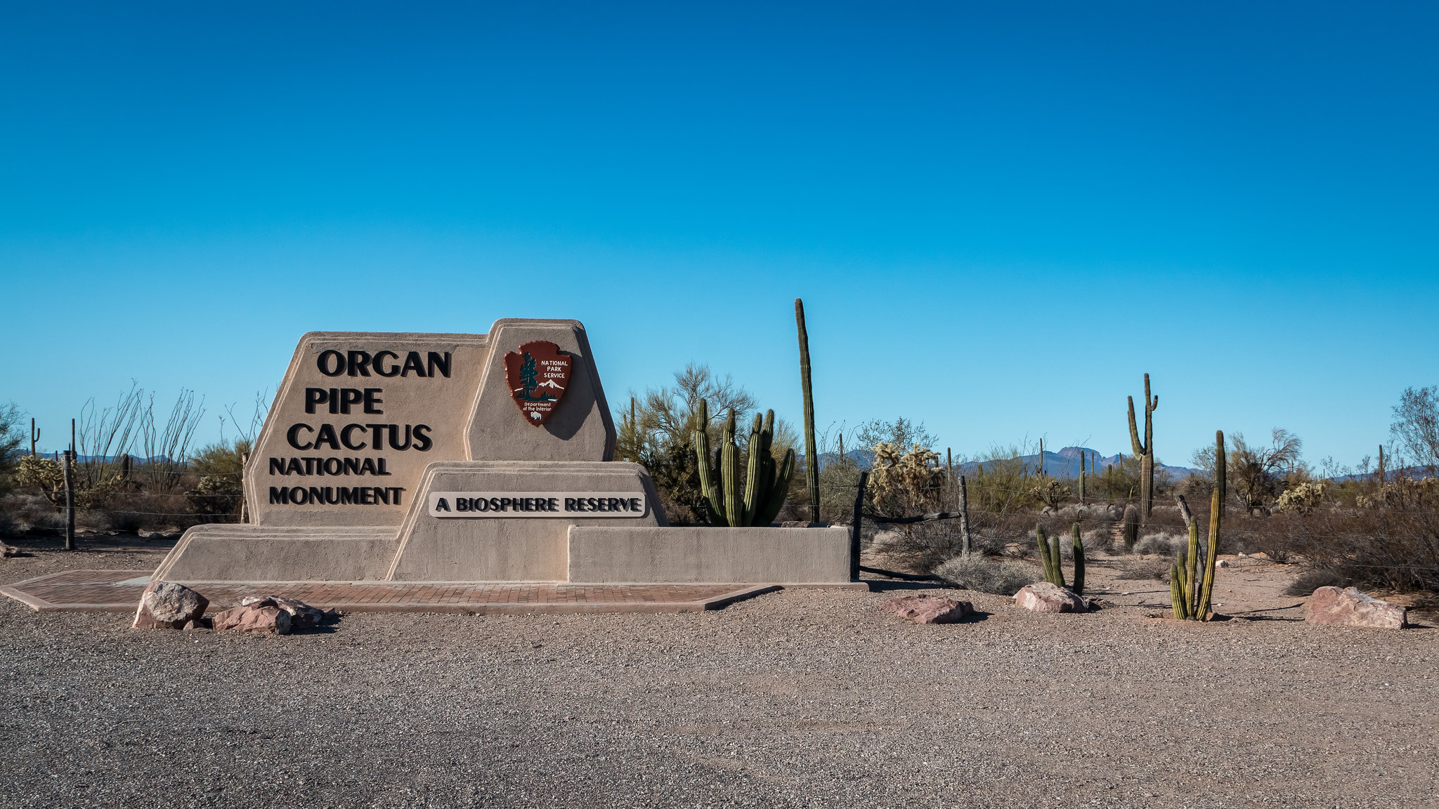 Organ Pipe Cactus NM - Arizona - [USA]