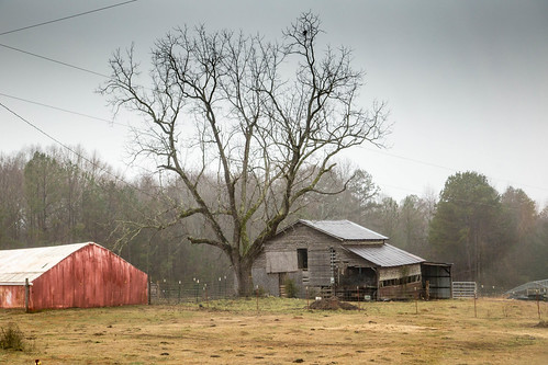 canon 6d 24105mml lens andersonsc upstate southcarolina rural country farm barn road red shed pasture pastoral vintage vanishing southernlife scenic disappearing southern america usa landscape fog rain mist weather cloudy