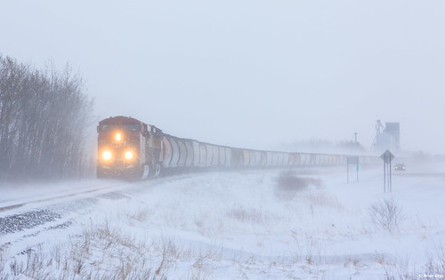 newfolden newfoldenmn canadianpacific cprnoyessub cp299 marshallcounty marshallcountymn train winter