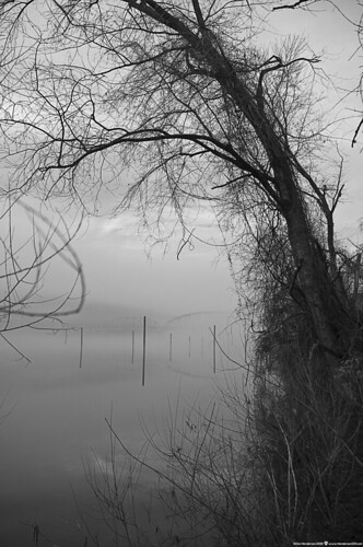 melancholypeacefultranquil fog alleghenyriver newkensington westmorelandcounty pennsylvania pentaxkr