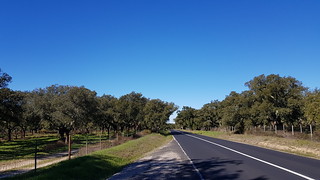 Estrada típica do interior de Portugal