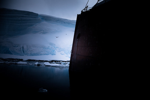 antarctica 南极 沉船 iv mark 5d eos canon usm ii f28l 2470mm ef 24mm abandoned ship bird snow glacier ocean iceberg ice blue water area polar