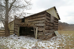 Park Log House (?) — Blendon Township, Franklin County, Ohio
