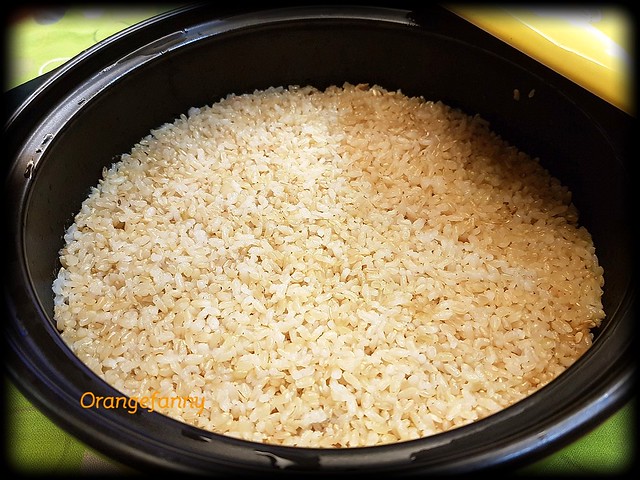180316 一鍋基本糙米飯-02