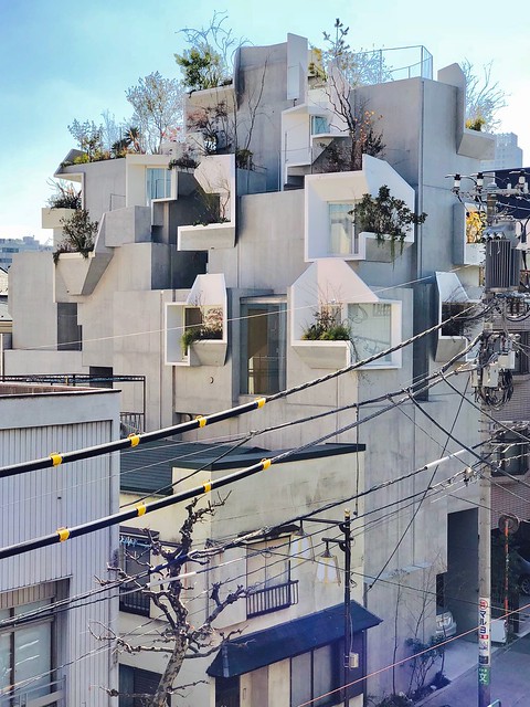 Tree-ness House, Tokyo, Japan