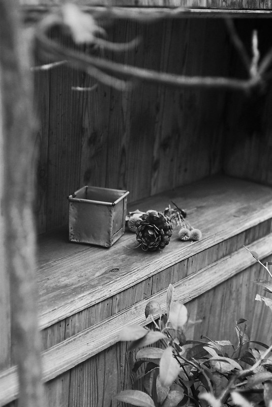 Leica M4+Summicron 50mm f2 0+Kodak 400TX池袋南口東通りRACINESエントランス