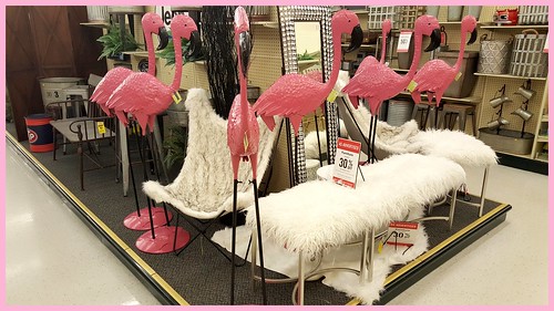 flamingos pinkflamingos