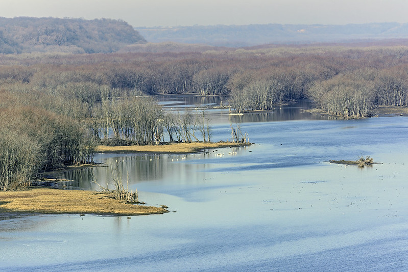 Mississippi River Wetlands