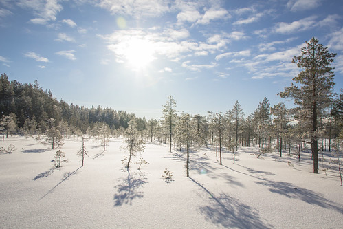 seitseminen seitsemisen kansallispuisto nationalpark national park suo mire mosse talvi winter suomi finland europe maisema landscape luonto nature saarisoljanen soljaset