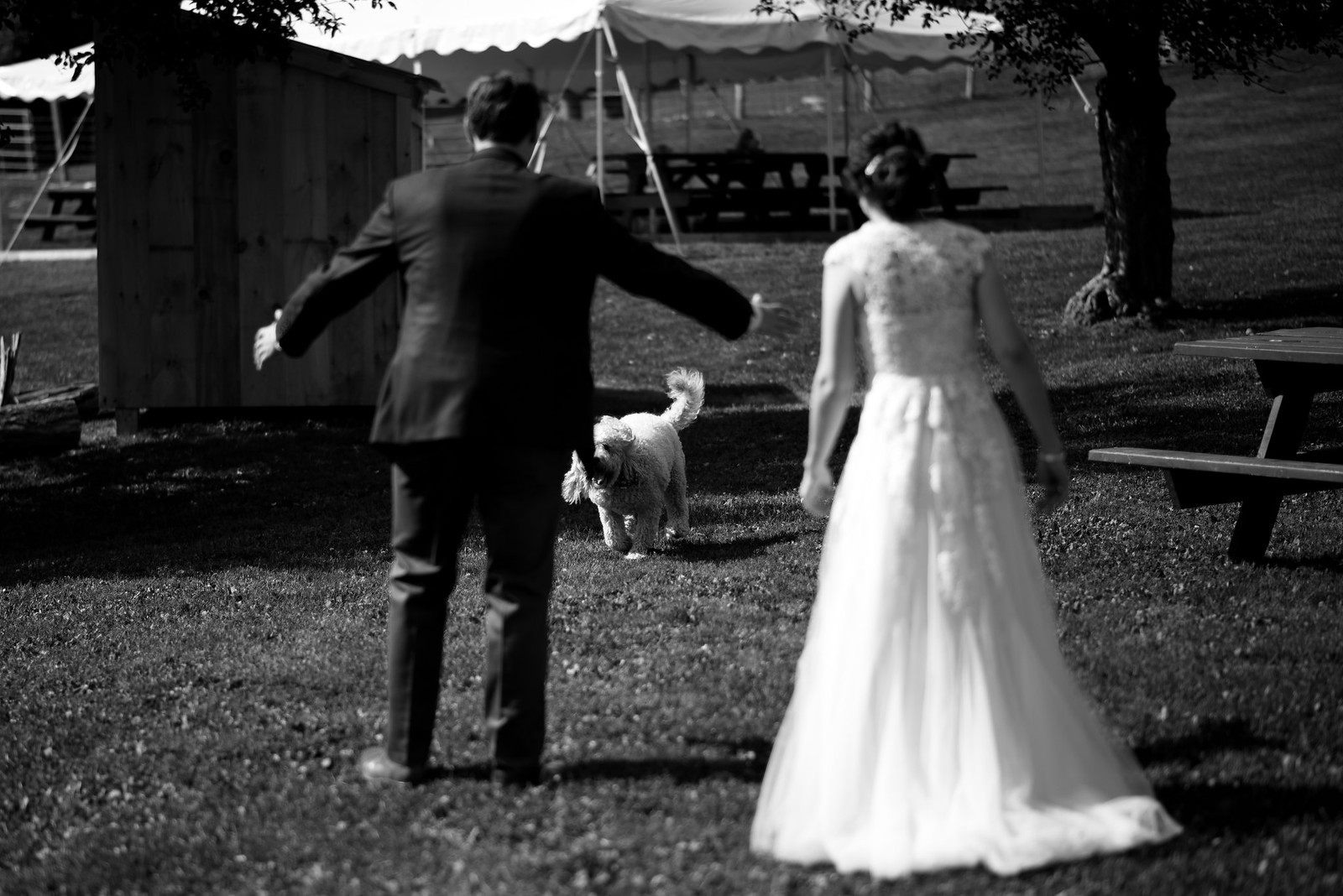 Wedding portraits with dog on juliettelauraphotography.blogspot.com