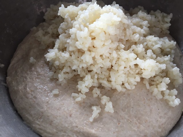 Mixing Koji Rice