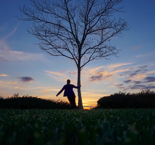 100views treesilhouette tree treehugger sunday march silhouette colorful hillcrestpark park grass 10secondtimer timer sonya6000 sony sunset nature day70 365days