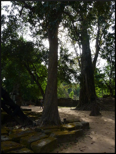 Templos y naturaleza en Siem Reap y costa oeste de Malasia - Blogs de Asia Sudeste - Siem Reap y los templos de Angkor (74)