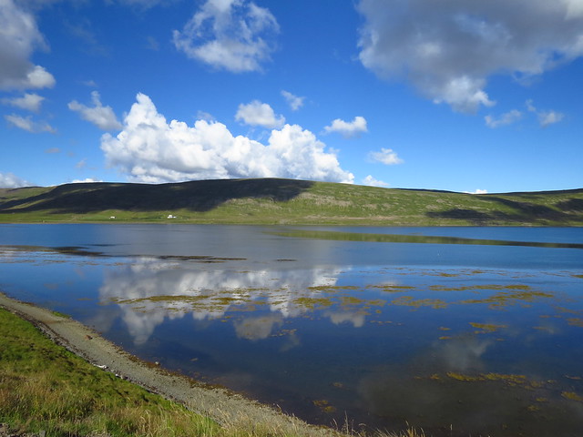 Ísafjarðardjúp: fiordos, focas e iglesias (Fiordos del Oeste I) - ISLANDIA: EL PAÍS DE LOS NOMBRES IMPOSIBLES (5)
