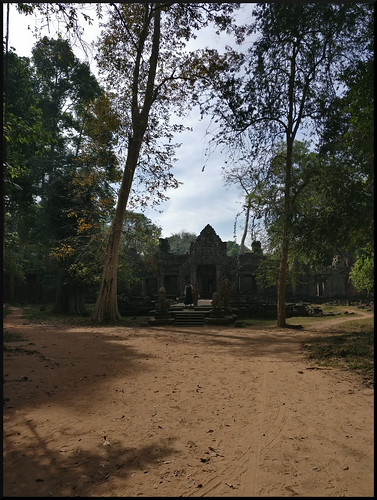 Templos y naturaleza en Siem Reap y costa oeste de Malasia - Blogs de Asia Sudeste - Siem Reap y los templos de Angkor (83)