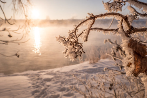 fog frost river sunrise saskatoon saskatchewan canada ca