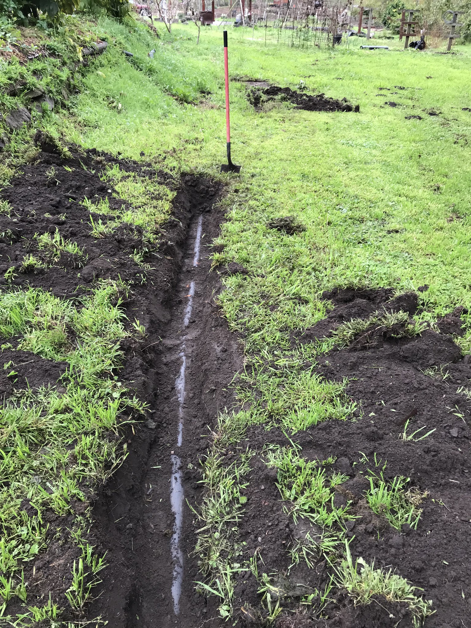 Rental sewage line to the septic tank