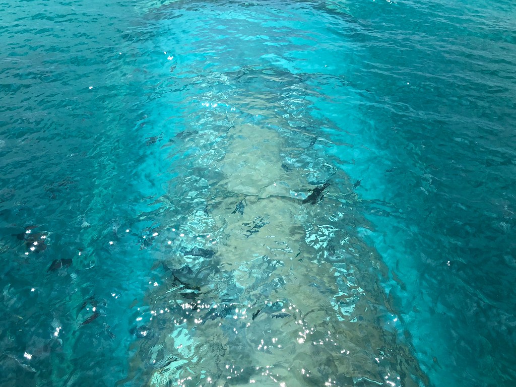 Maldives underwater restaurant 1 (1)