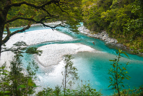 mountaspiringnationalpark otago newzealand nz kiltro river water landscape trees forest nature flow stream