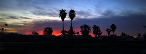 iphoneographer iphoneography iphonology iphoneology clouds sky neighborhood tree palmtree sunset sunrise chandler arizona tempe