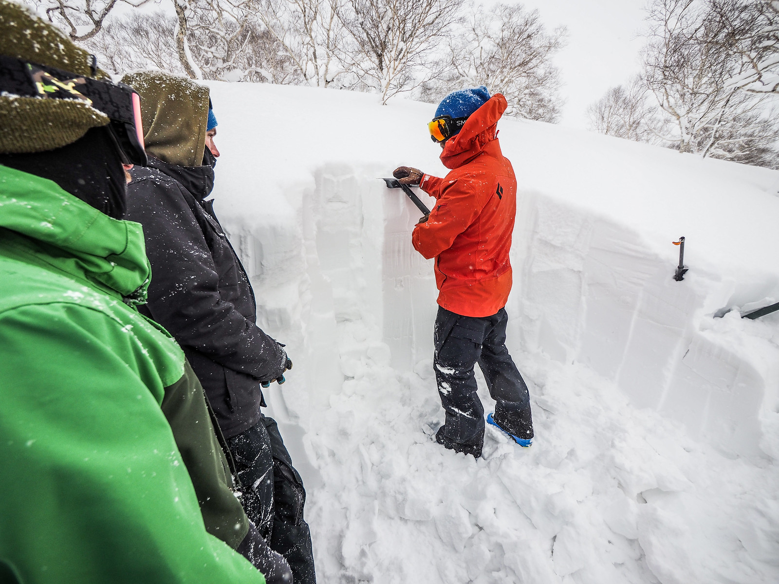 Whiteroom Tours AST2 Avalanche Safety Training Course (Niseko, Hokkaido, Japan)