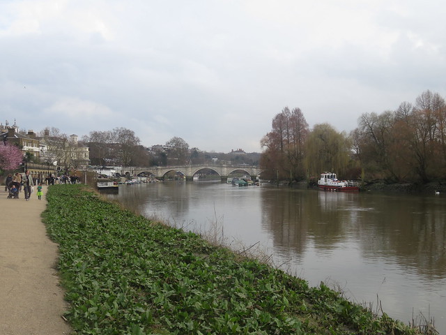 Thames Path - Putney to Richmond