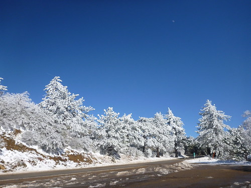 mountlaguna sandiegosnow sandiegocounty snow landscapes