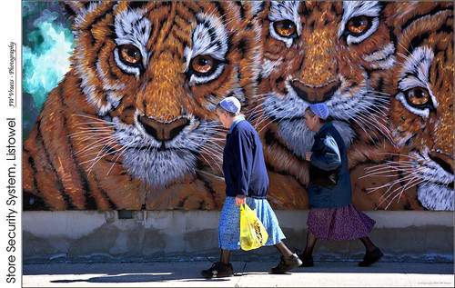 tigers mural watching gianttiger listowel women mennonite shopping shoppers securitysystem opensource rawtherapee gimpnikon d7100 nikkor18105mmvr