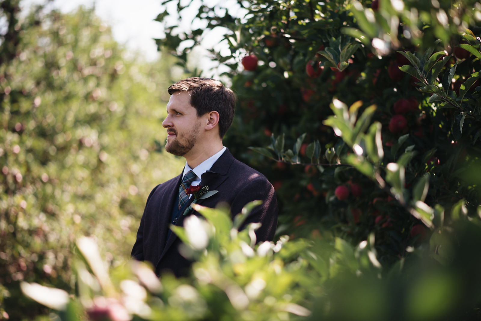 Groom First Look Apple Orchard