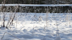 Voisins et la Croix du bois sous la neige