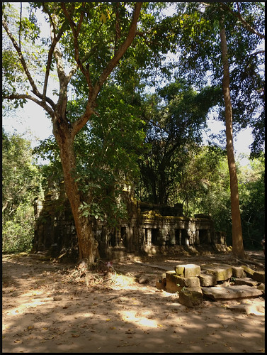 Templos y naturaleza en Siem Reap y costa oeste de Malasia - Blogs of Asia Sudeast - Siem Reap y los templos de Angkor (45)