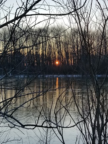 dawn sunrise annepalmer 070130 ice pond