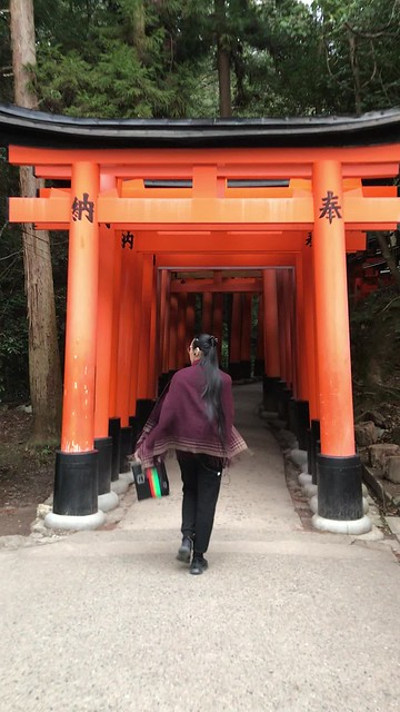 Walking under the torii gates video