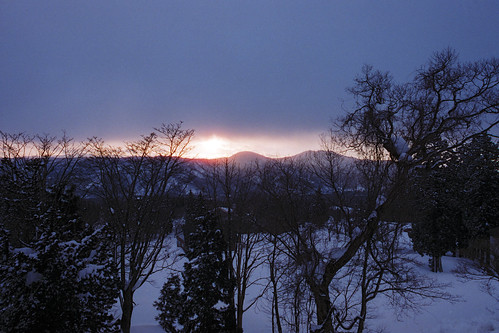 asia japan honshu myoko myokokogen akakuraonsen trees snow winter sunrise morning landscape 35mm cinestill cinestillfilm cinestill800t film analog nikon nikkor