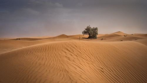 batis225 carlzeiss desert dunes ergchegaga marokko sahara wüste drâatafilalet