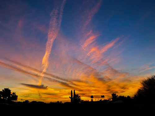 sunset arizona sky skies contrails clouds color colors cactus silhouette