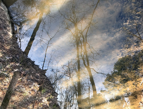 reflections reflectionsinwater herbparsonslake herbparsonslaketrail trees forest foresttrail hikingthroughtheforest barefoothiking sunlight