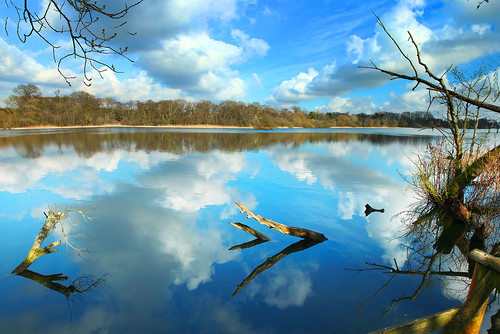 southwalshambroad norfolkbroads fairhaven sky clouds lake water branch trees reflection illusion blue panorama stitch landscape