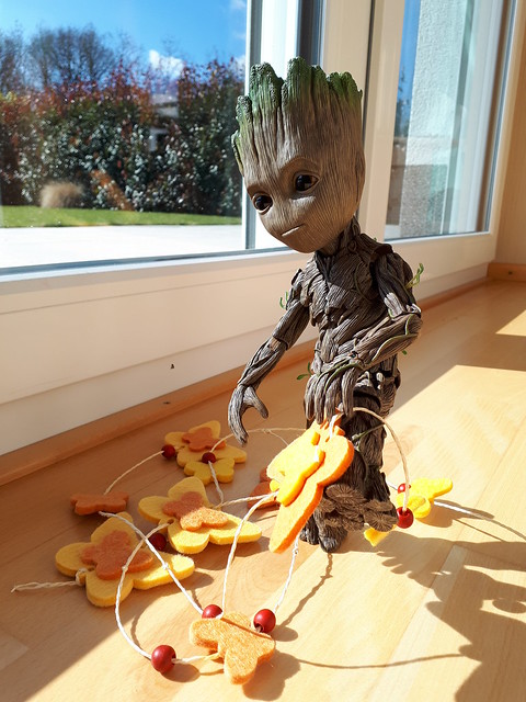 Hot Toys Life Size Baby Groot - *At the German North Coast* (1 Nov 2022) 40100978354_5e0141d049_z