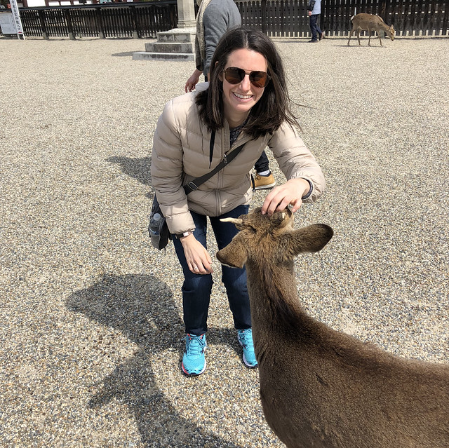 Attempting to pet one of the Nara deer