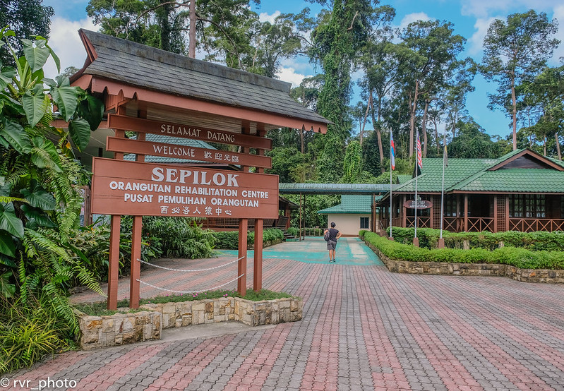 Sepilok Orangutan Rehabilitation Centre, Borneo, Malasia