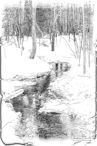 winter snow bw solarization tree forest pond