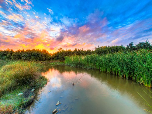 australia botanicridge hdr landscape olympusomdem10 photomatix sunrise urbanoasis victoria aurorahdr naturereserve wetlands