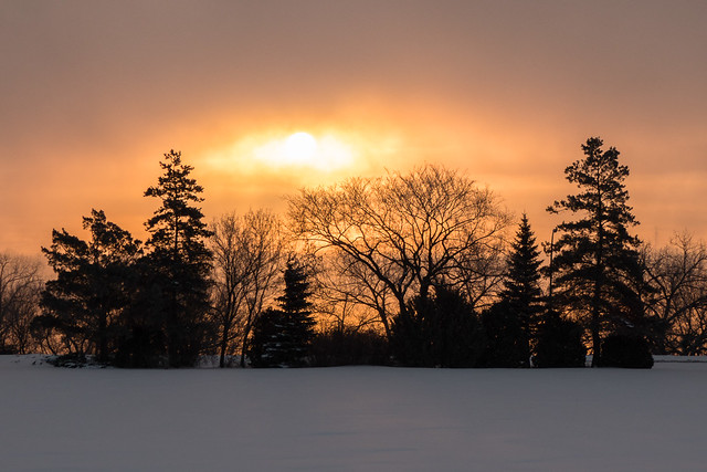 sunrise across the park