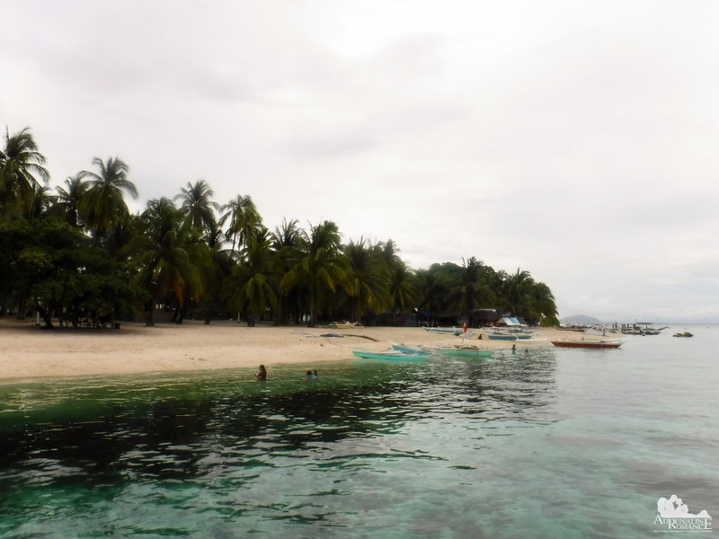 Arrival at Digyo Island