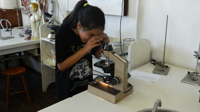 Observação no microscópio