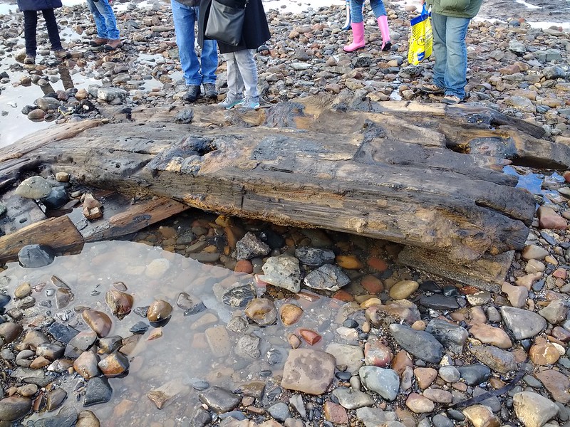Redcar Petrified Forest Shipwreck